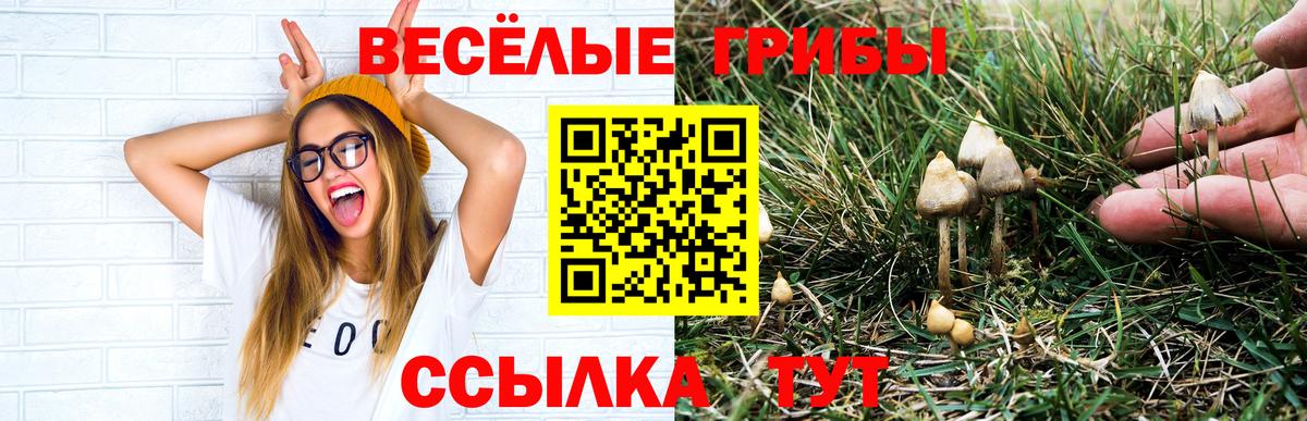 Псилоцибиновые грибы Magic Shrooms  Псилоцибиновые грибы Psilocybe  Сегежа  Вход с VPN 