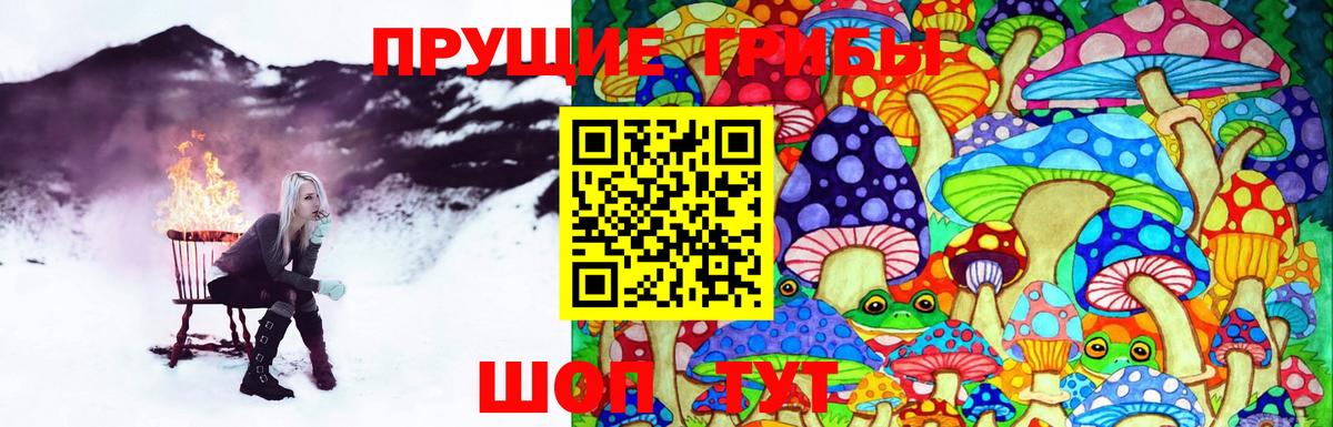 Псилоцибиновые грибы GOLDEN TEACHER Сегежа