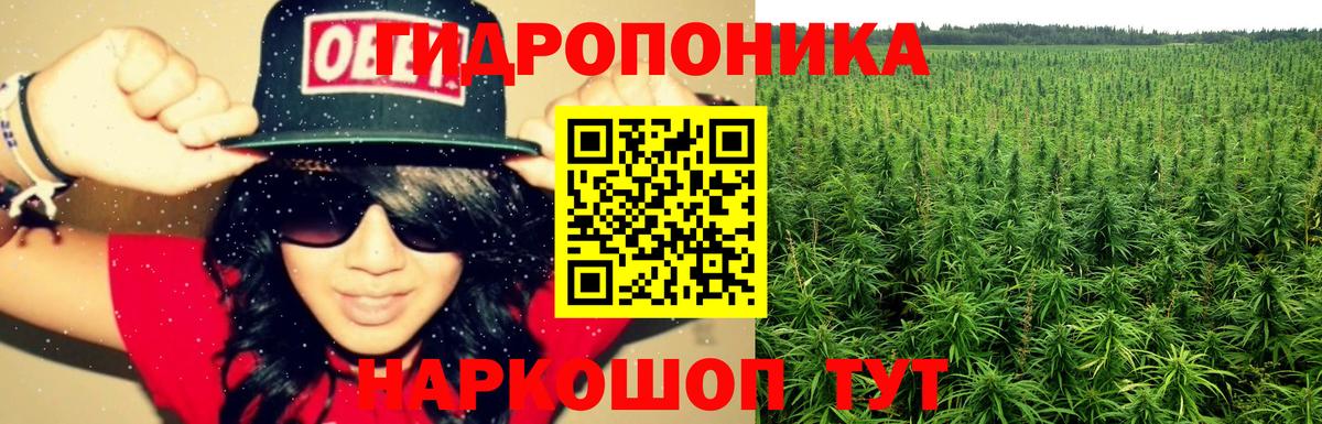 Бошки марихуана White Widow  Каннабис Ganja  МАРИХУАНА семена  Сегежа  Конопля сатива  Вход с VPN 